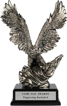 Freedom Silver American Eagle with Flag Trophy | Free Engraving, Electroplated, Metallic Finish, Patriotic Recognition, Service, Leadership, Retirement