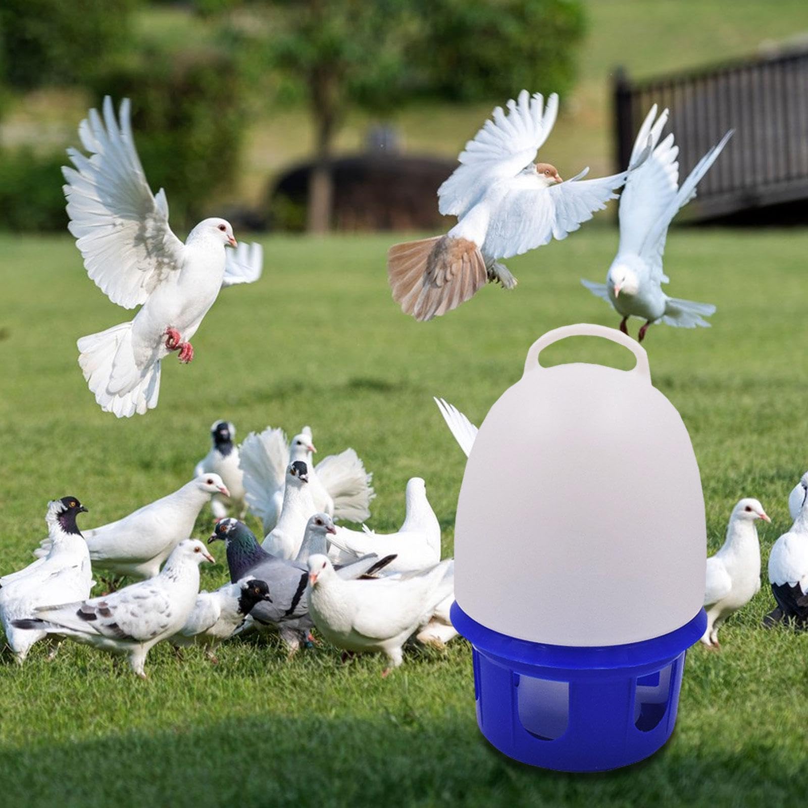 Generic Pigeon Drinker Dove Drinker Water Bowl Farming Tool Cage Accessories Pigeon Water Dispenser for Pheasants Cockatiels Chick, 10L Big Handle