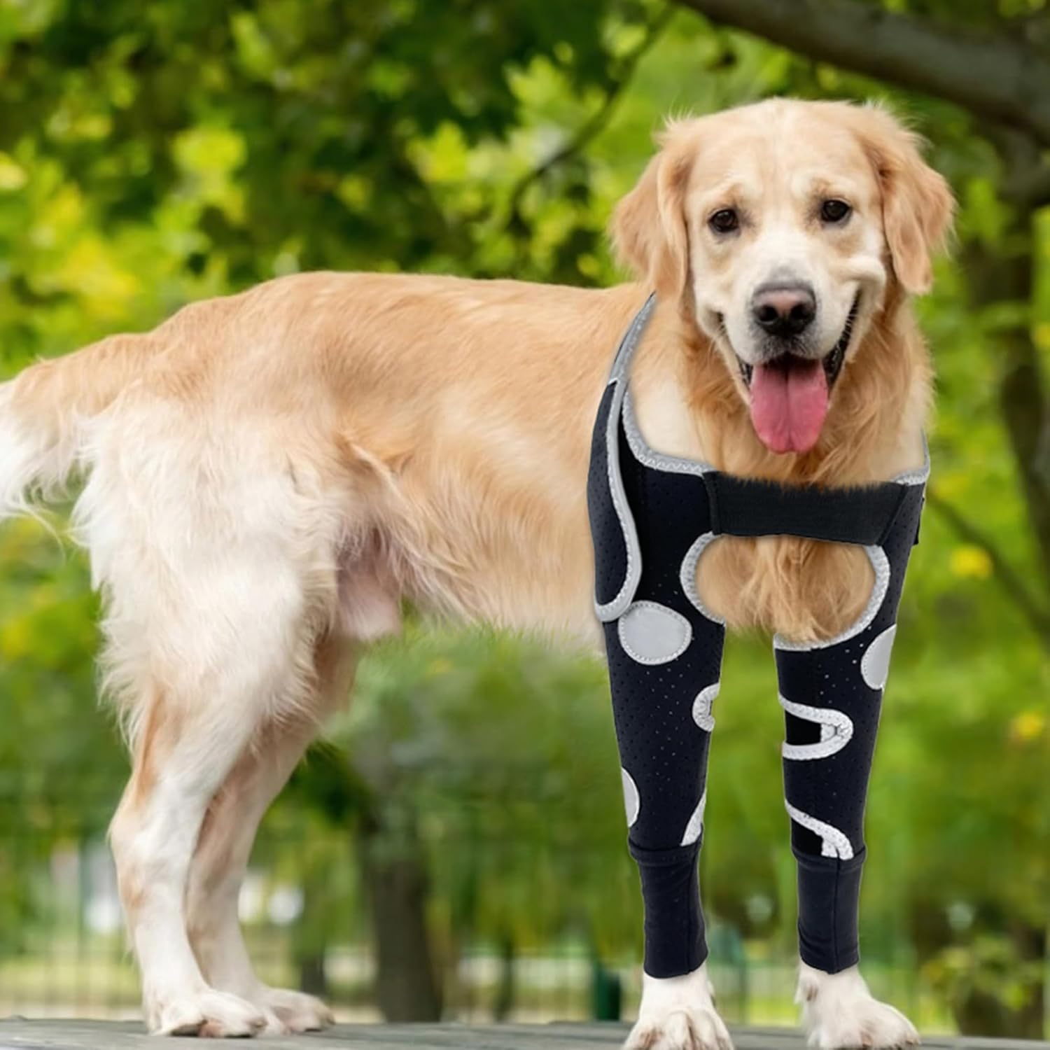 Dog Shoulder & Elbow Brace – Anti-licking Sleeve for Shoulder Dislocation, Elbow Injuries, Postoperative Recovery – Reflective, Breathable Dog Front Leg Brace Support, Cone Alternative – Both Legs, L Double Sleeves L