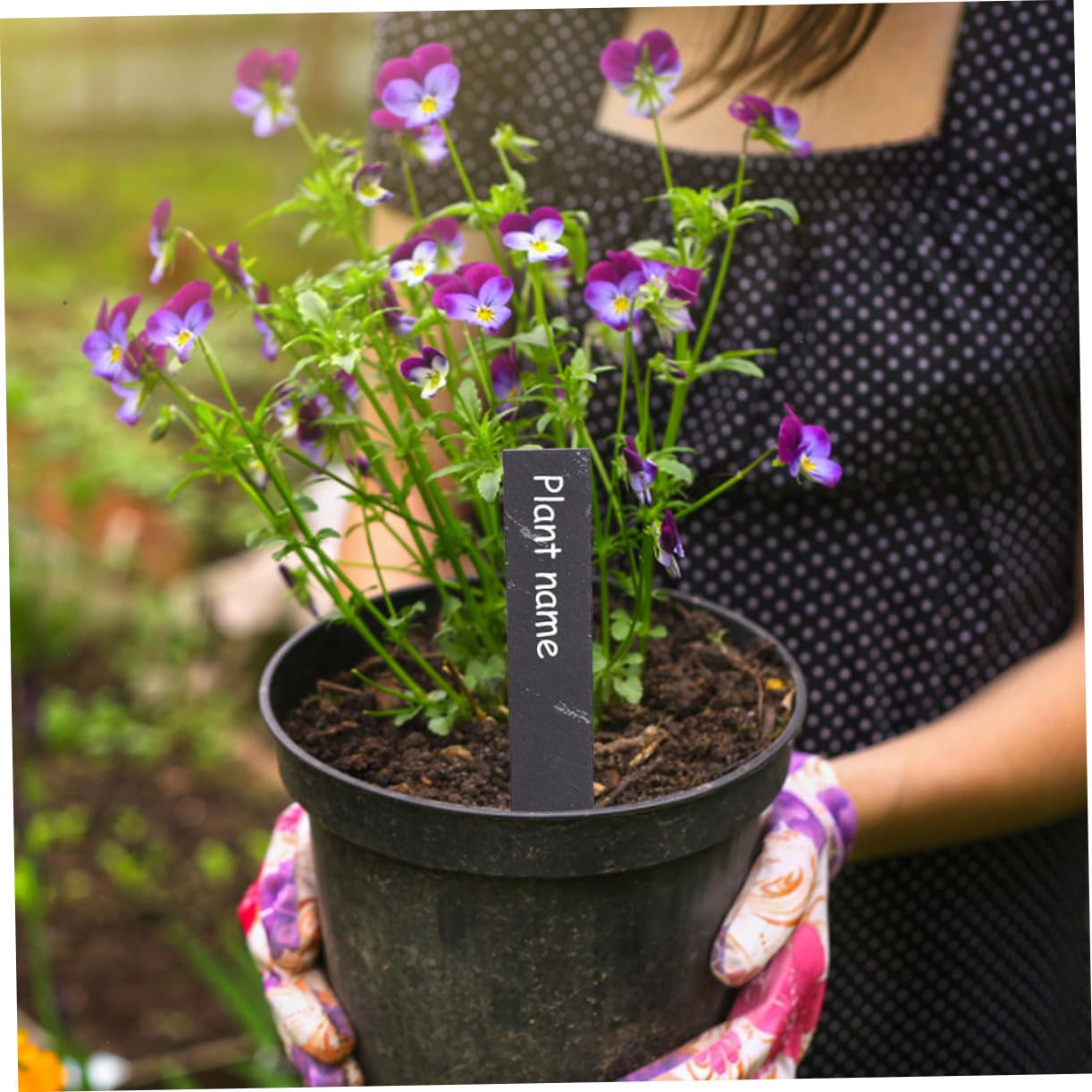12pcs Étiquettes de Plantes en Ardoise Étiquettes Jardin Stables pour Fleurs et Plantes D'extérieur
