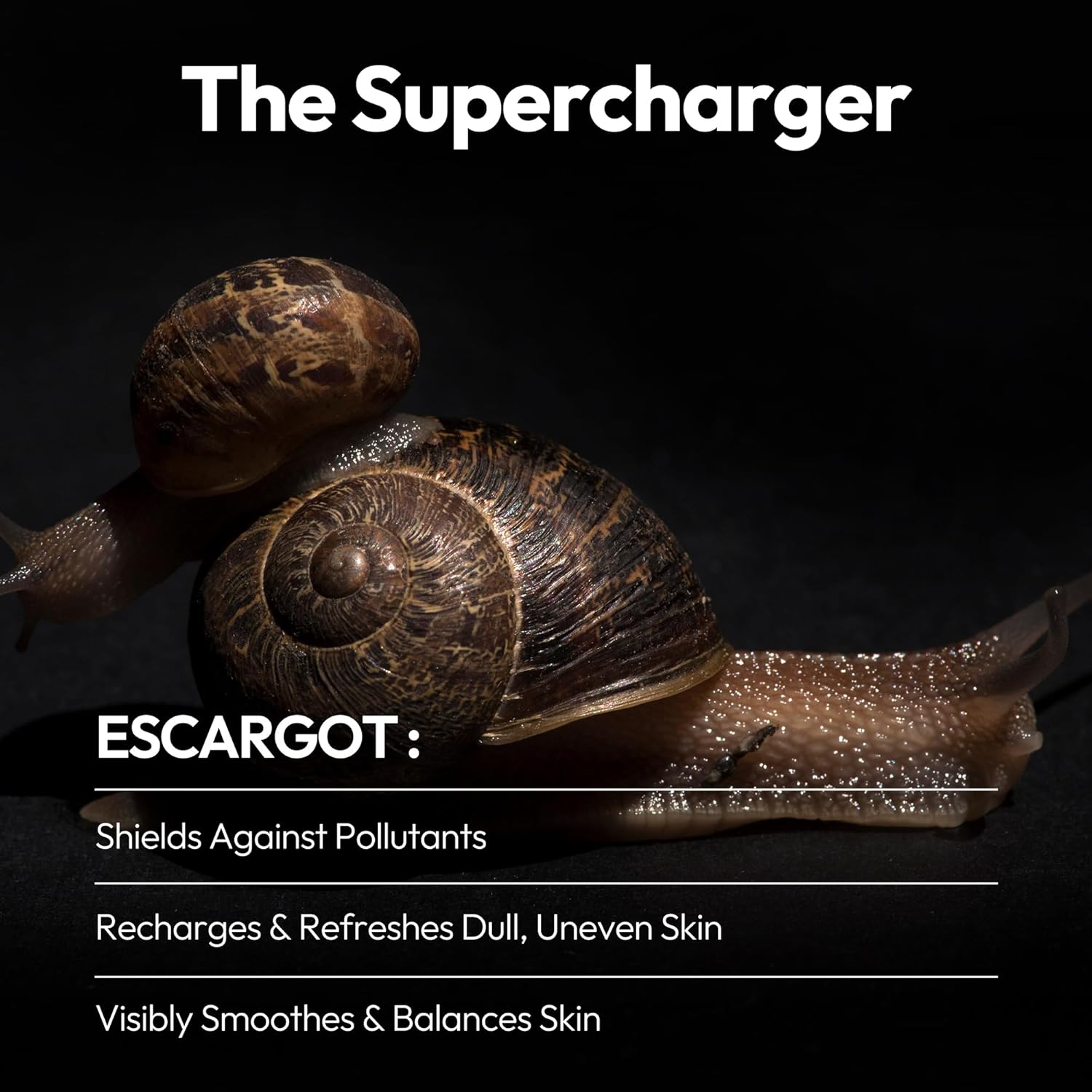 LAPCOS Escargot Sheet Mask, Daily Face Mask with Snail Filtrate to Moisturize and Soothe Skin, Korean Beauty Favorite, 5-Pack - Image 2