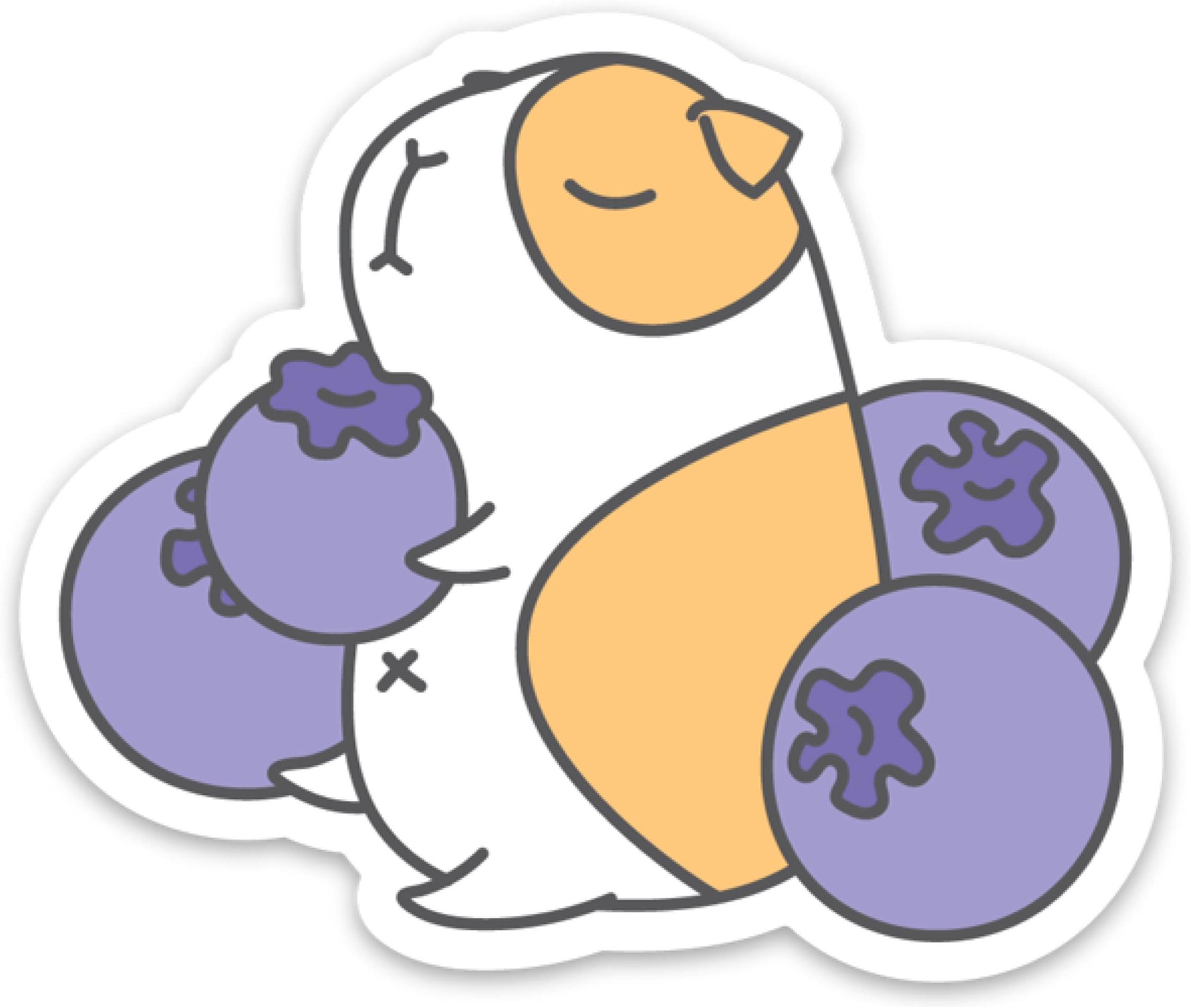 Blue Berries and Guinea Pig Laptop Sticker