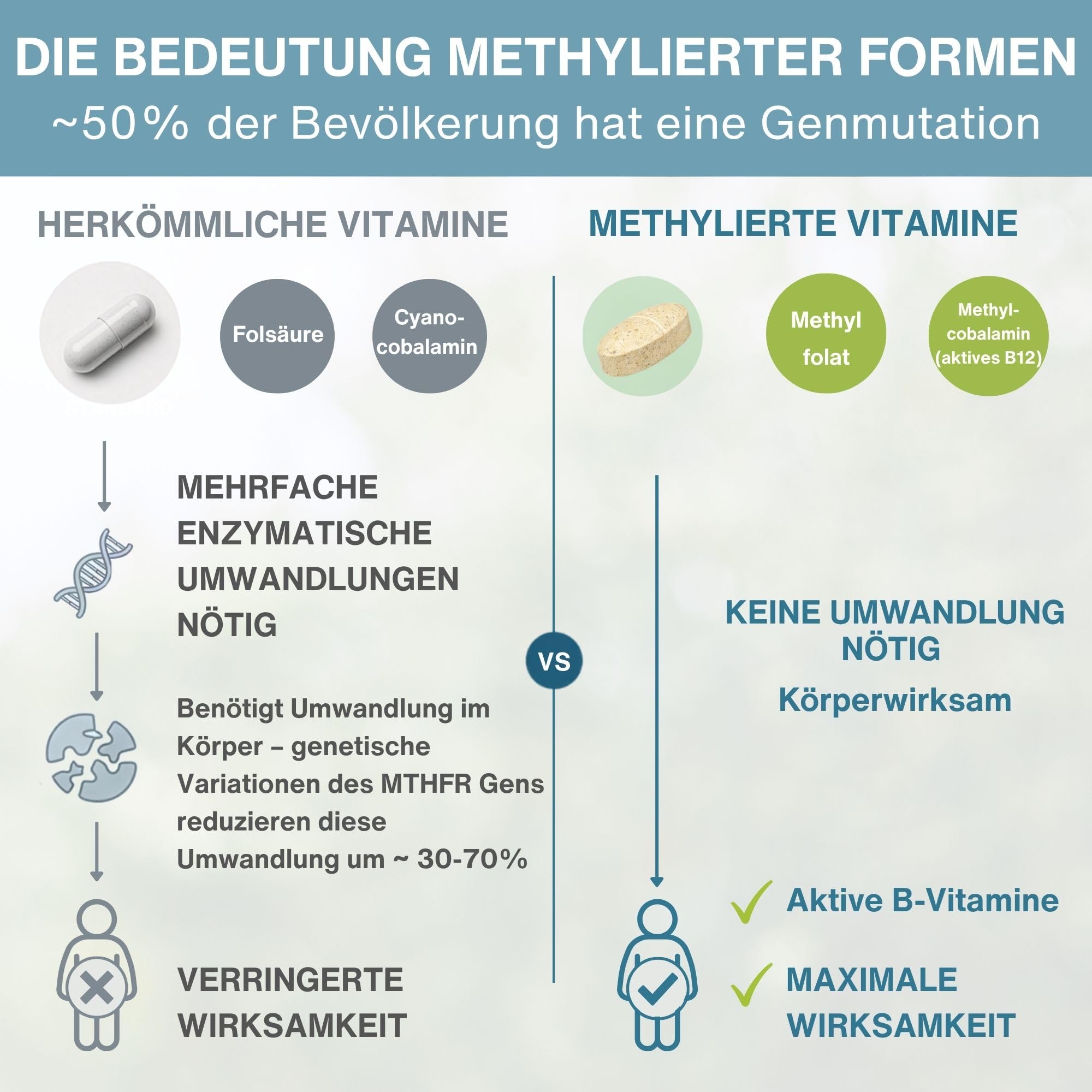 Igennus Methyliertes Multivitamin für Männer mit 21 aktiven Nährstoffen, Langzeitformel, Clean Label, Methylfolat & Methylcobalamin, hochdosiert & MTHFR-geeignet, GVO-frei & halal, 180 Tabletten