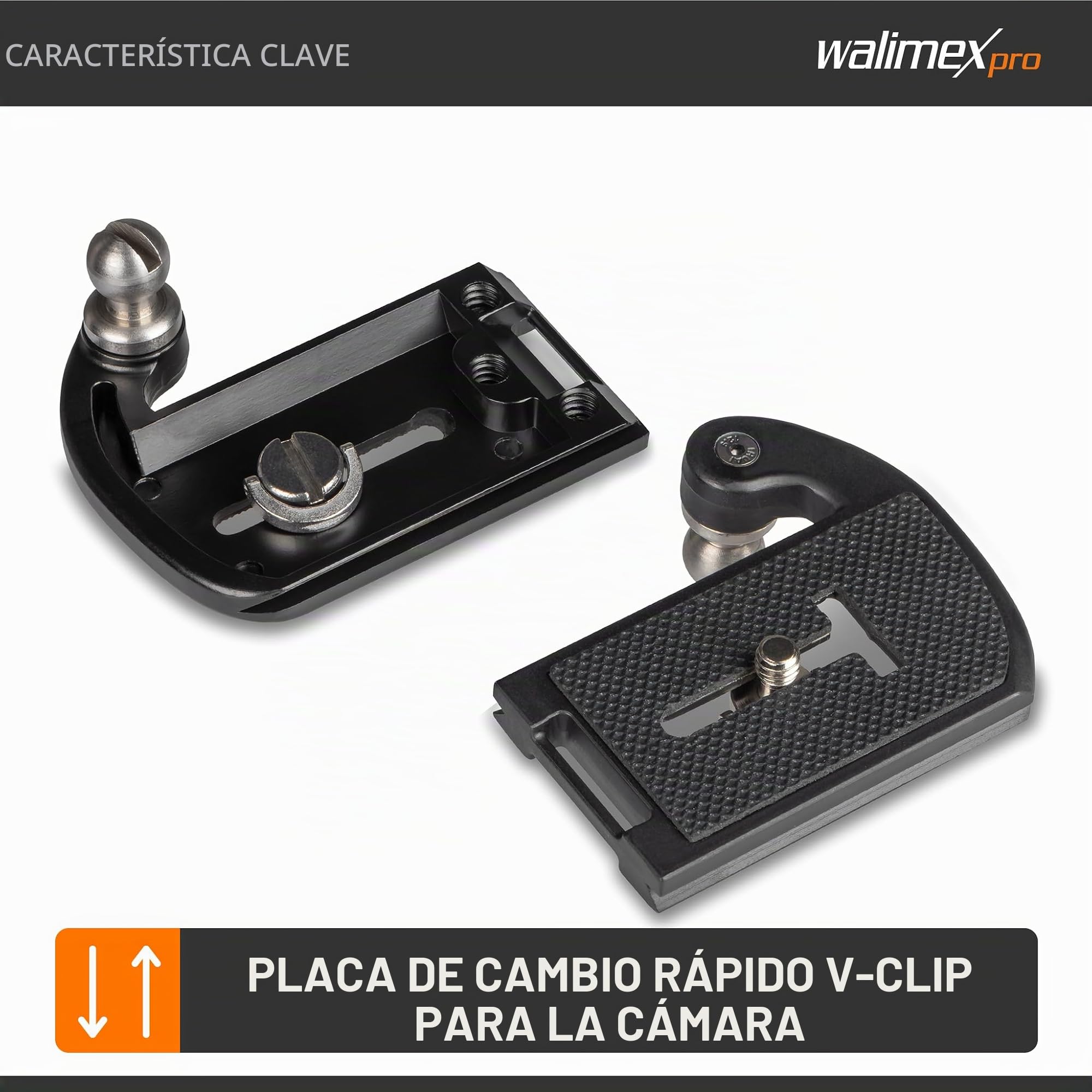 Walimex pro Cinturón de cadera para cámara con V-Dock Argus – Correa con funda para fotografía y fotografía al aire libre – Soporte para cámara V Clip con cinturón abdominal