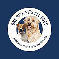 Vista 6 de PetArmor Plus Collar antipulgas y garrapatas para perros, mata pulgas y garrapatas, protección duradera durante 12 meses, resistente al agua