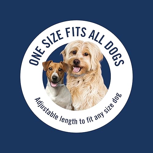 Miniatura 6 de PetArmor Plus Collar antipulgas y garrapatas para perros, mata pulgas y garrapatas, protección duradera durante 12 meses, resistente al agua, talla