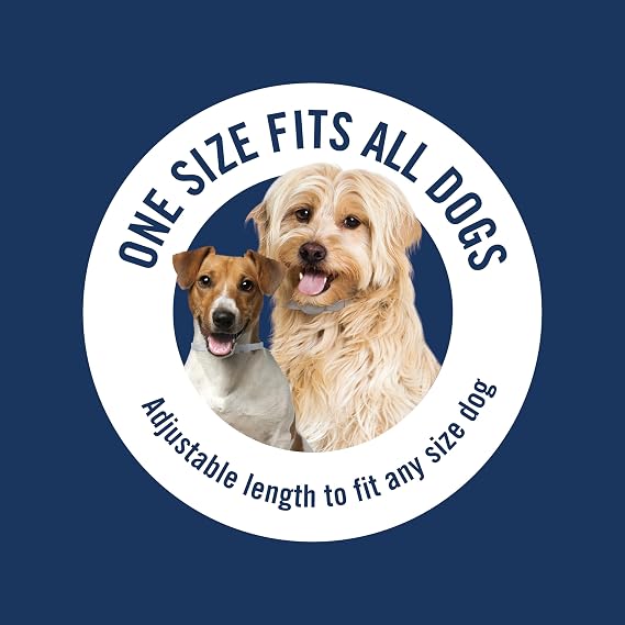 PetArmor Plus Flea & Tick Collar for Dogs, Kills Fleas & Ticks, Long Lasting Protection for 6 Months, Water Resistant, One Size Fits All, 1 Collar