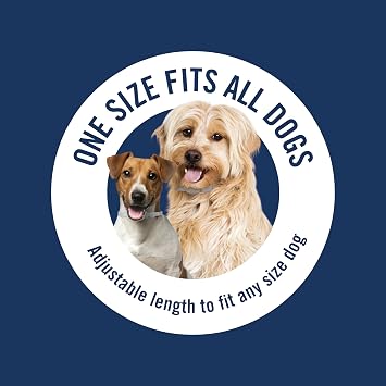 PetArmor Plus Flea & Tick Collar for Dogs, Kills Fleas & Ticks, Long Lasting Protection for 6 Months, Water Resistant, One Size Fits All, 1 Collar