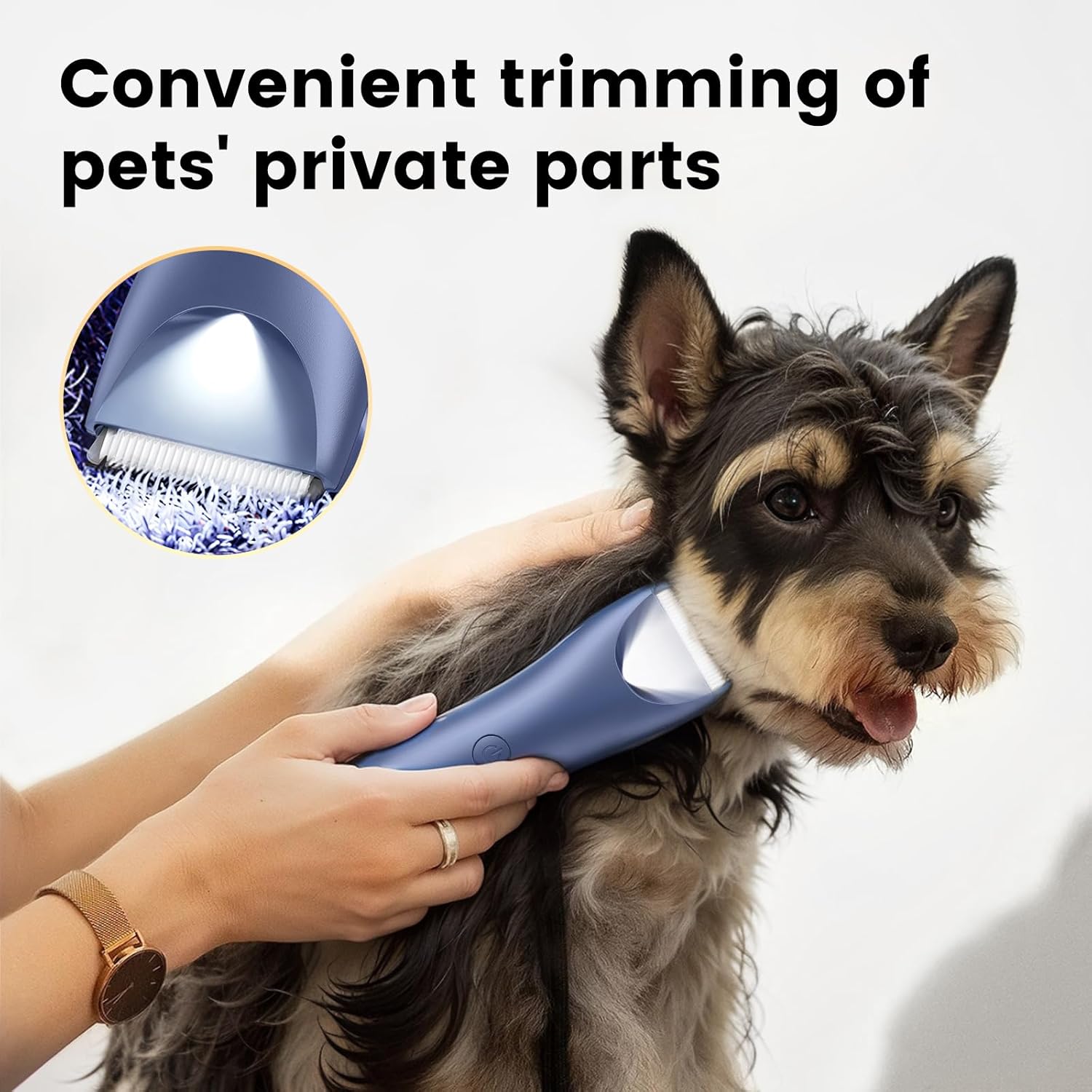 Dog Clippers Pet Grooming Kit, Low Noise Dog Hair Trimmer for Grooming Cordless Pet Shaver with LED Light for Dogs Cats Animals - Image 5