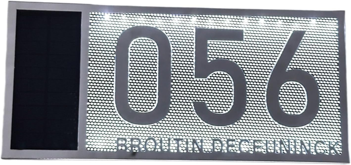 Personalized House Number with Solar Light,Personalized Solar Address Signs For Houses,Custom Wall Decoration (Silver)