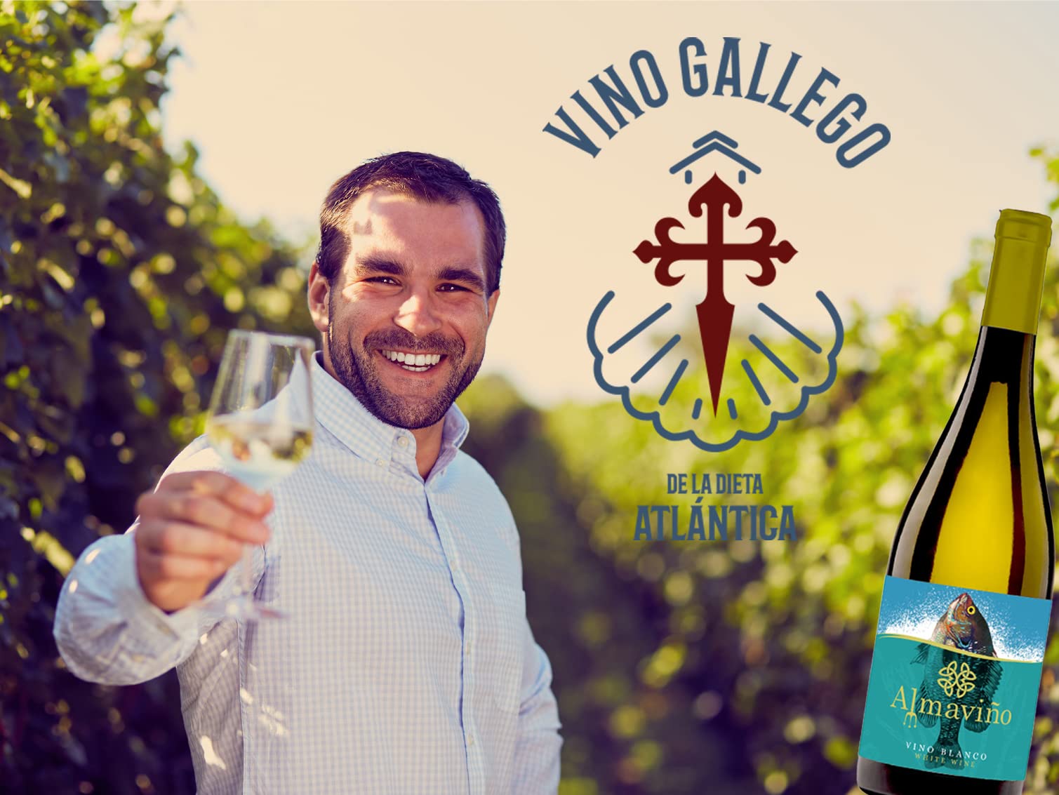 Vino Gallego de Autor - Vino Blanco Afrutado - Caja de 6 Botellas x 75 cl - Alcohol 12% Vol - para Regalar – Vino Gourmet de la Dieta Atlántica - ALMAVIÑO