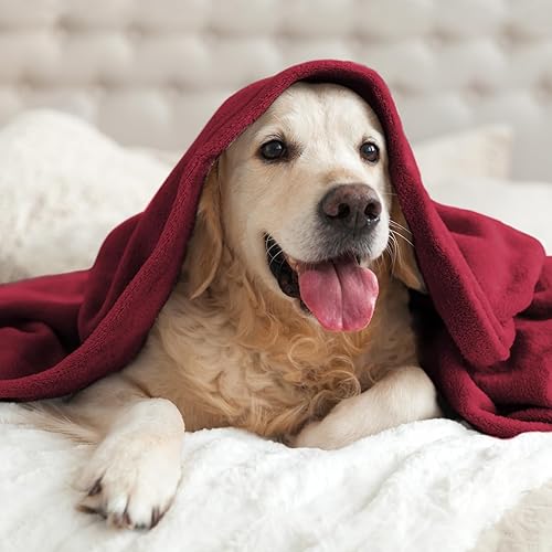 Miniatura 34 de BEDELITE Fleece Blanket White Throw Blanket for Couch & Bed, Luxury Plush Cozy Fuzzy Blanket 50" x 60", Super Soft Warm Lightweight Throw Blanket