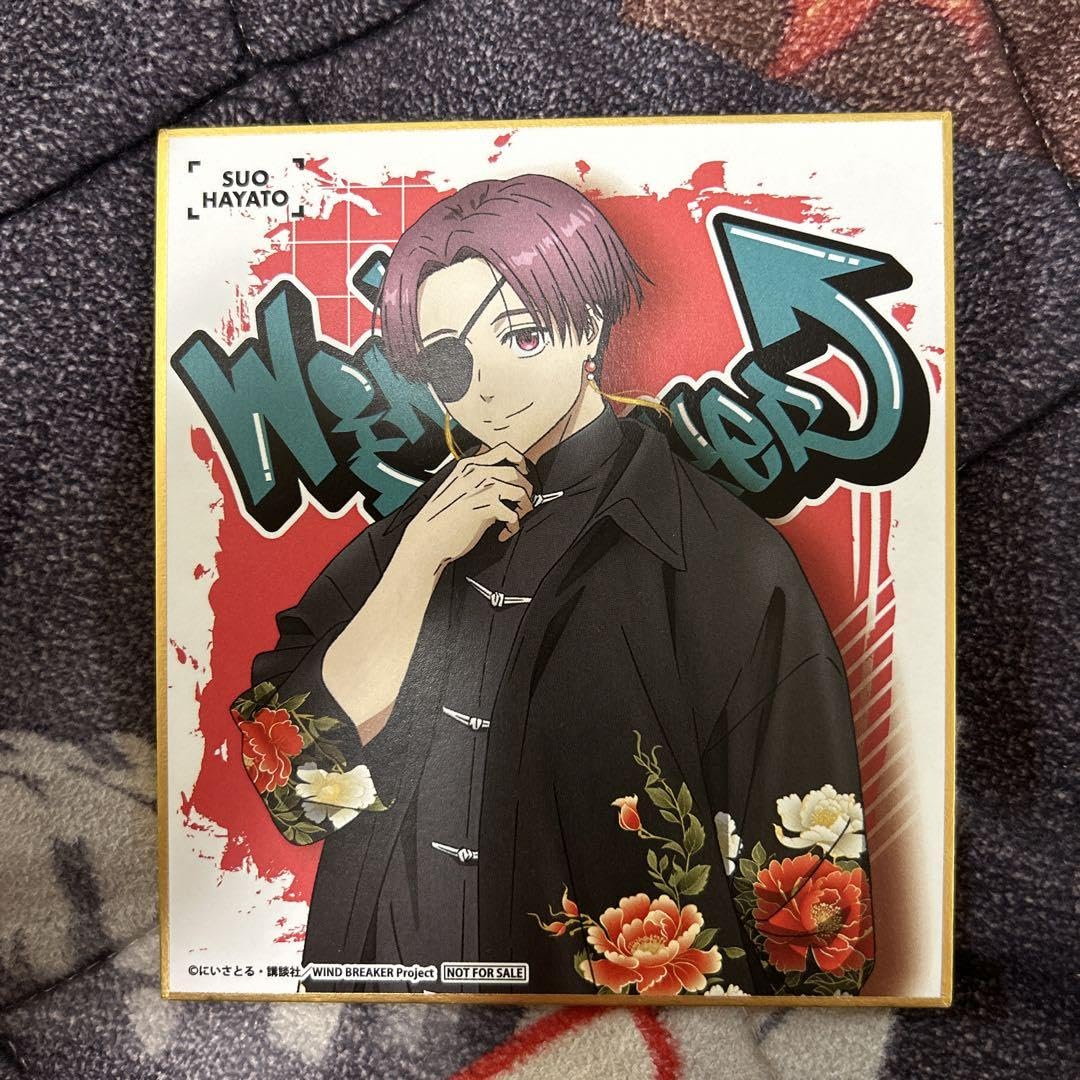 Amazon.co.jp: WIND BREAKER ウィンブレ 蘇枋隼飛 ミニ色紙 : ホビー