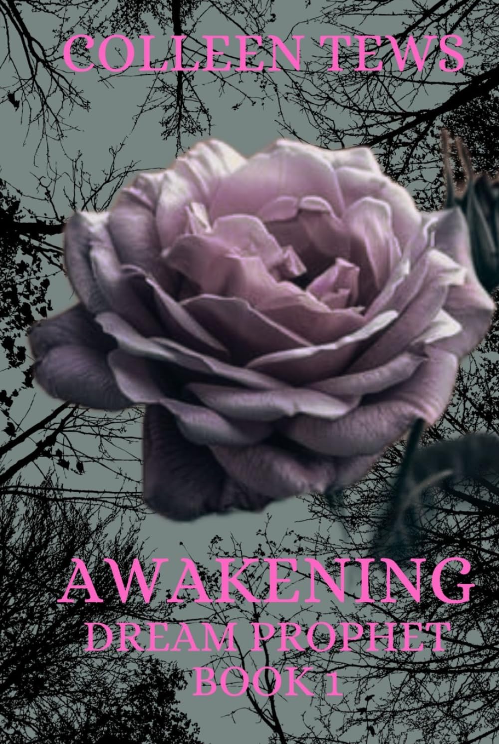 Awakening (Dream Prophet Trilogy)