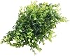 6ft Artificial Eucalyptus Garland – Realistic Hanging Flower Decor Texture Wedding Home Vine Cafe Plastic Garden Ivy Wreath with Natural for Green