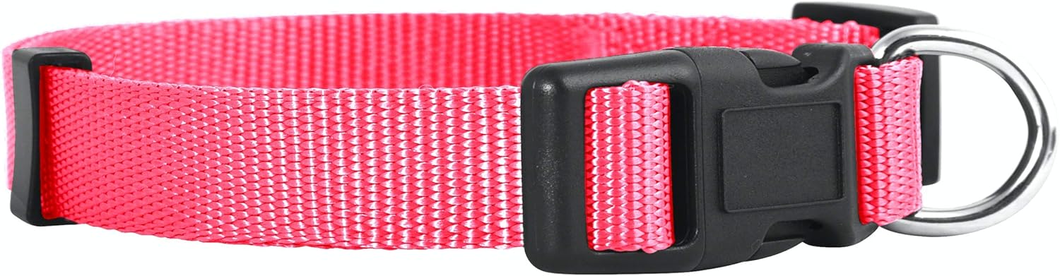 Native Pup Basic Nylon Dog Collar, Adjustable for Small, Medium, Large pet and Puppies Accessories, Cute Colors for Male, Female, boy, Girl, Puppy (Small, Pink) : Pet Supplies
