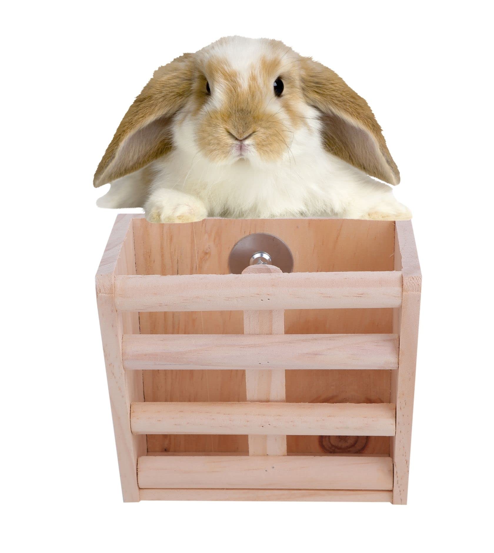 Amazon | cobalt planet うさぎ 草入れ チンチラ 干し草ラック フード