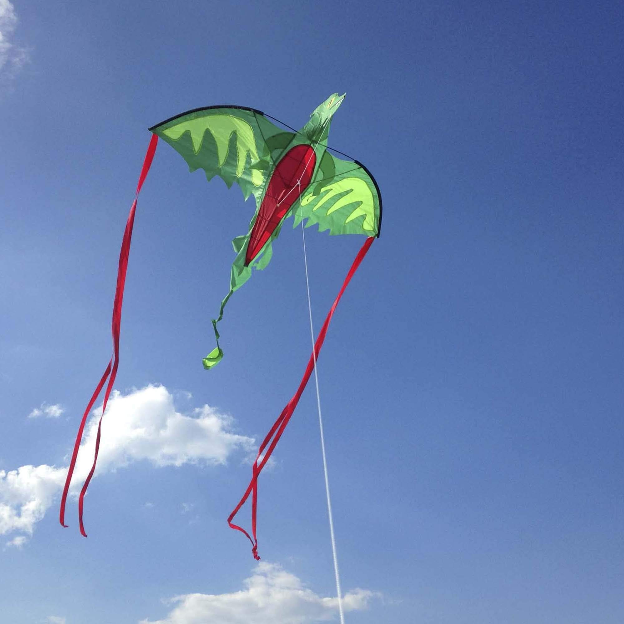 Melissa & Doug Winged Dragon Shaped Kite Children's Kite (SIOC)