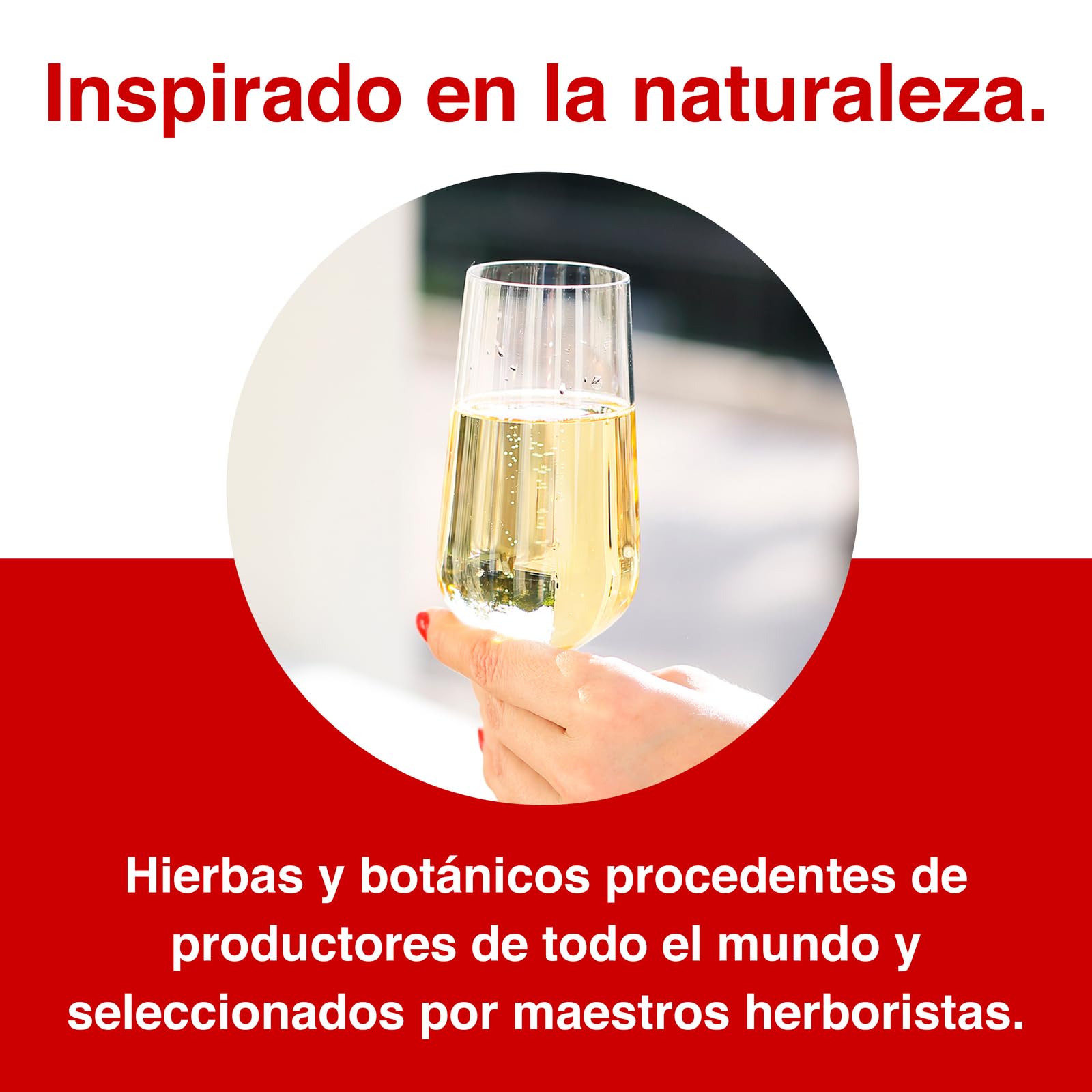 MARTINI Prosecco Vino Espumoso, 11% ABV, 6 x 75cl / 750ml, Vino Italiano Seco y Rico