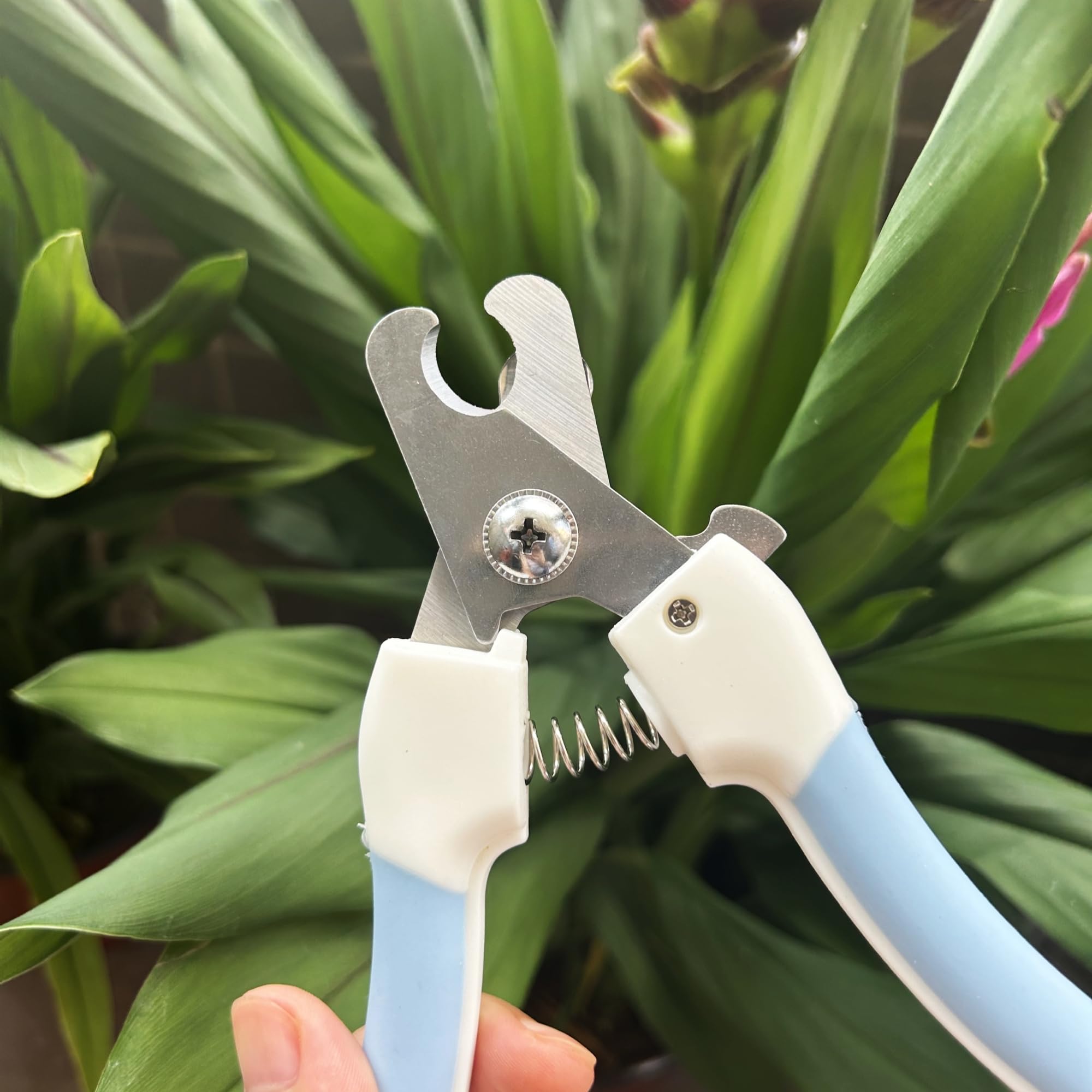 Manekieko Professional Dog and Cat Claw Care with Nail File, Safety Mechanism, Pet Stainless Steel Claw Pliers, Blue - Image 2