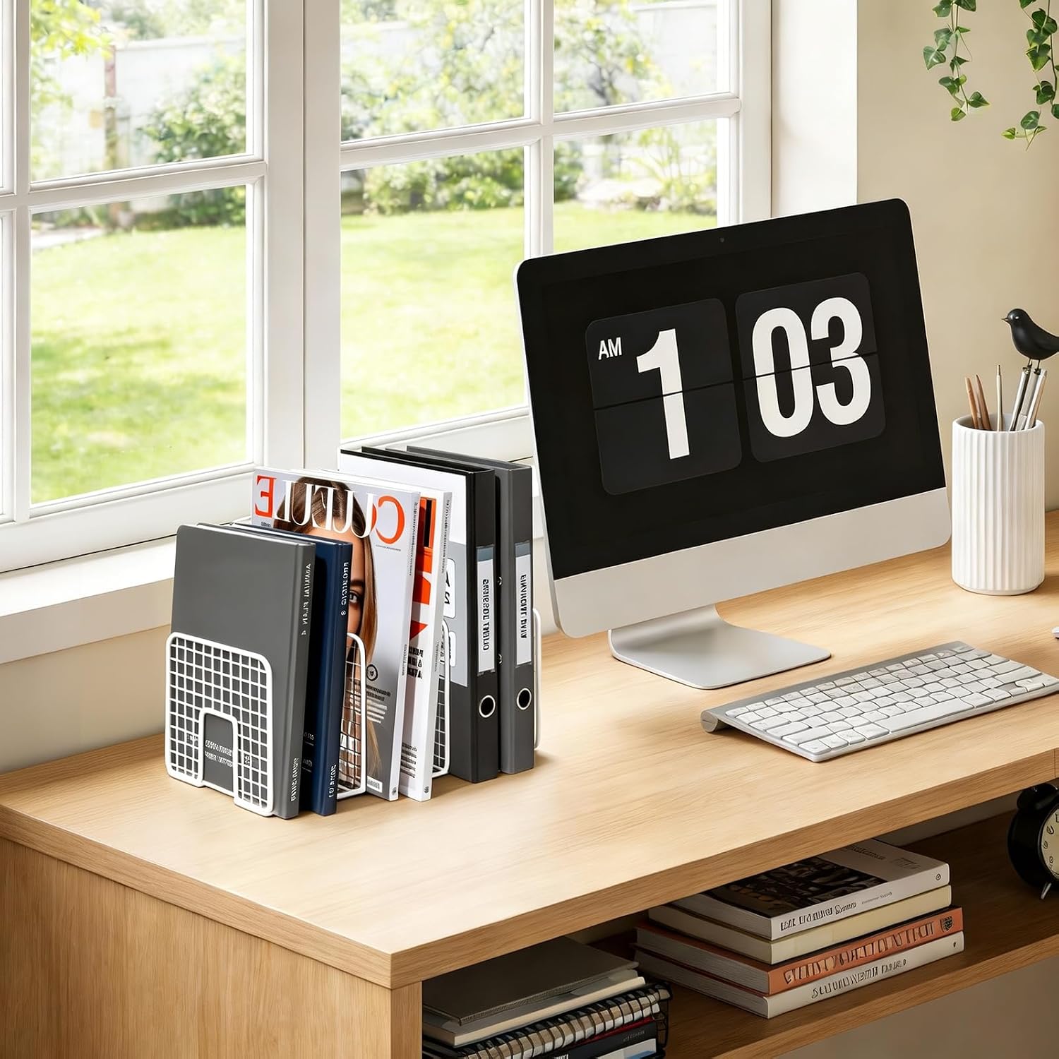 DAWASAPAT Vinyl Record Storage Holder Stand Vinyl Coated Metal Wire Rack Tabletop Magazine Holder Rack, Record Storage, Album Storage Rack Sorter Organizer for Home Office school