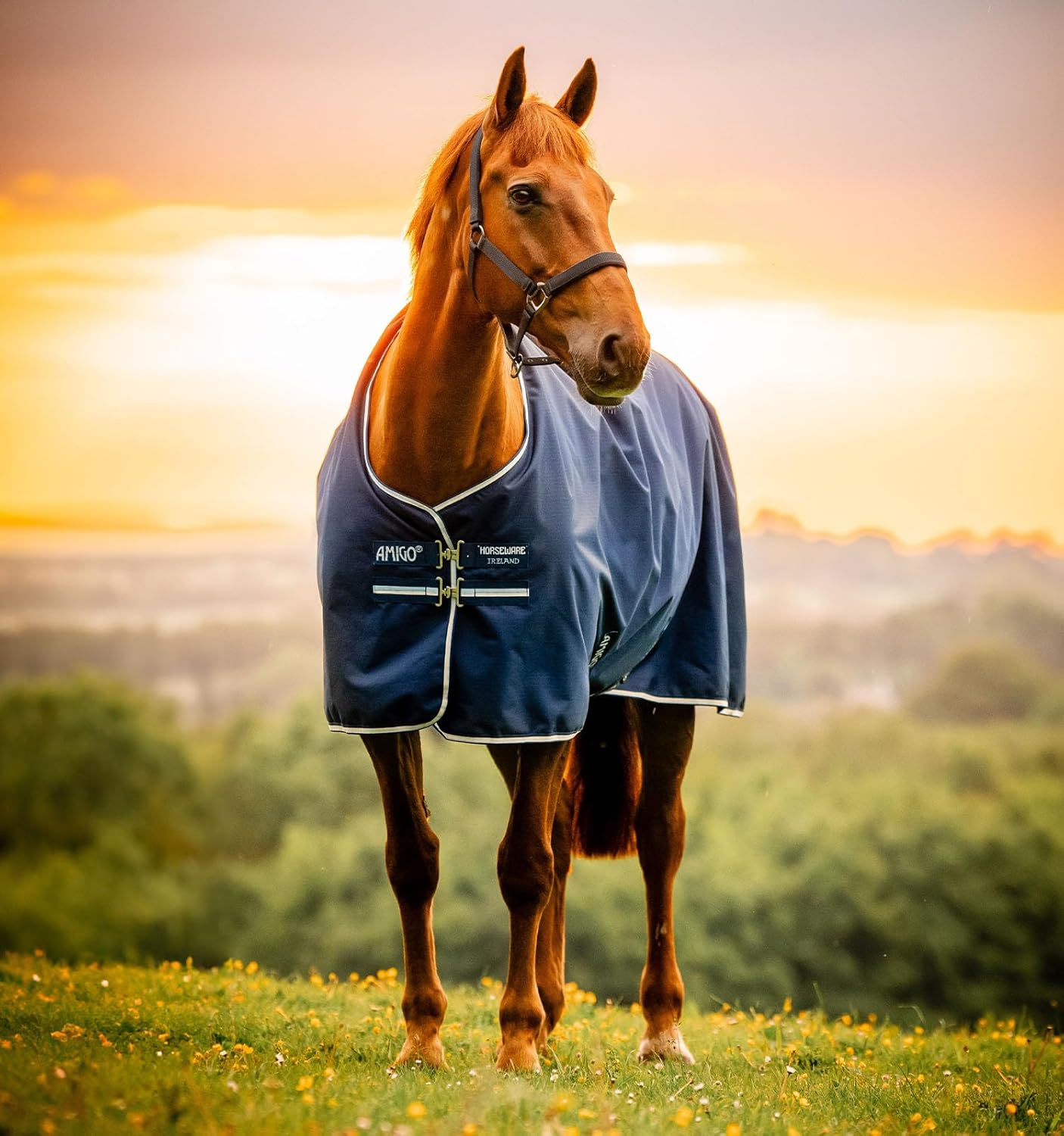 Amigo® Ripstop 900D Turnout 0g – Horseware Ireland