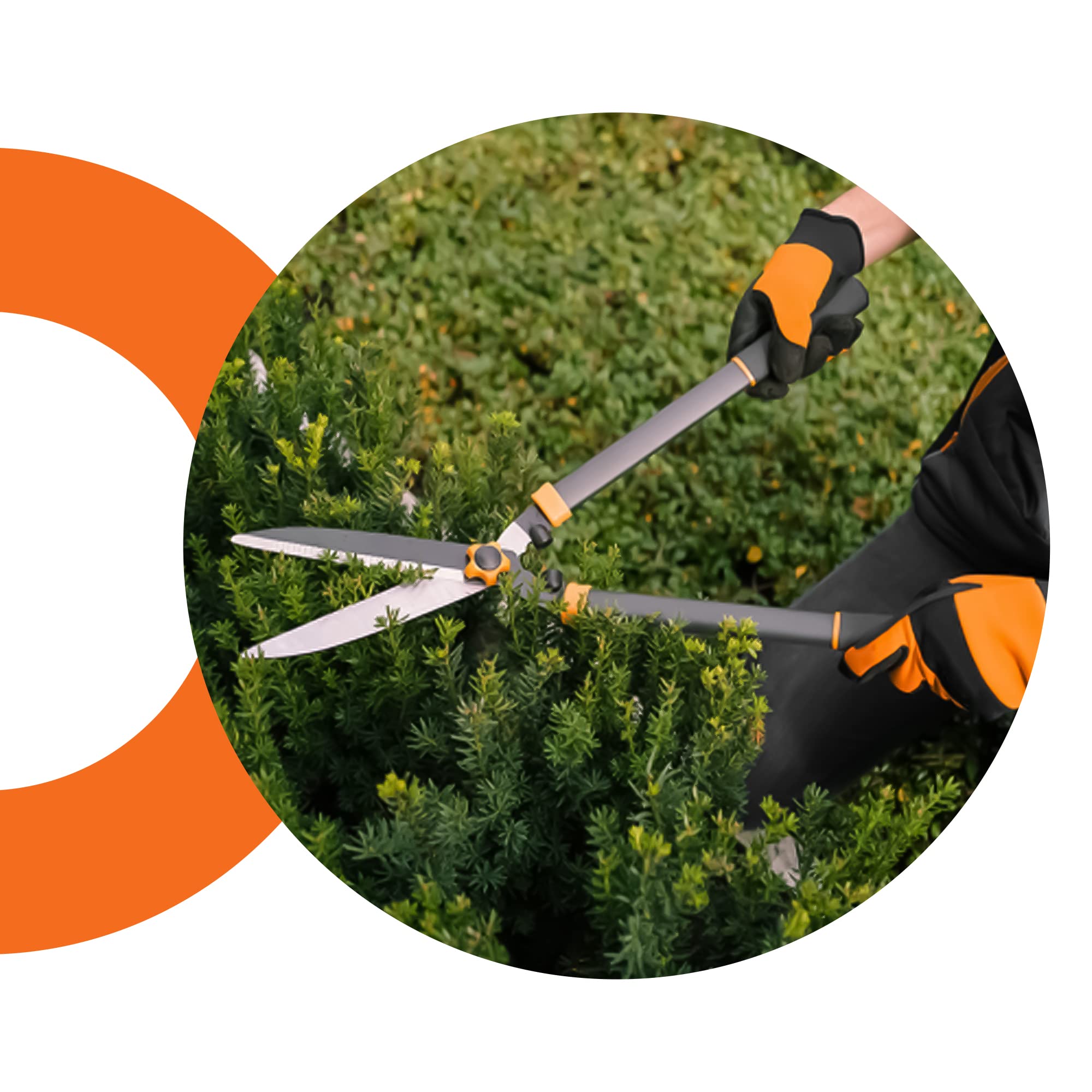Heckenschere Secateurs Starke Scharfe Stahlklinge 20cm Busch Strauch Trimmen Schneiden Beschneiden Formgebung Leichtes Gartenwerkzeug Rutschfester Griff Comfort Grip