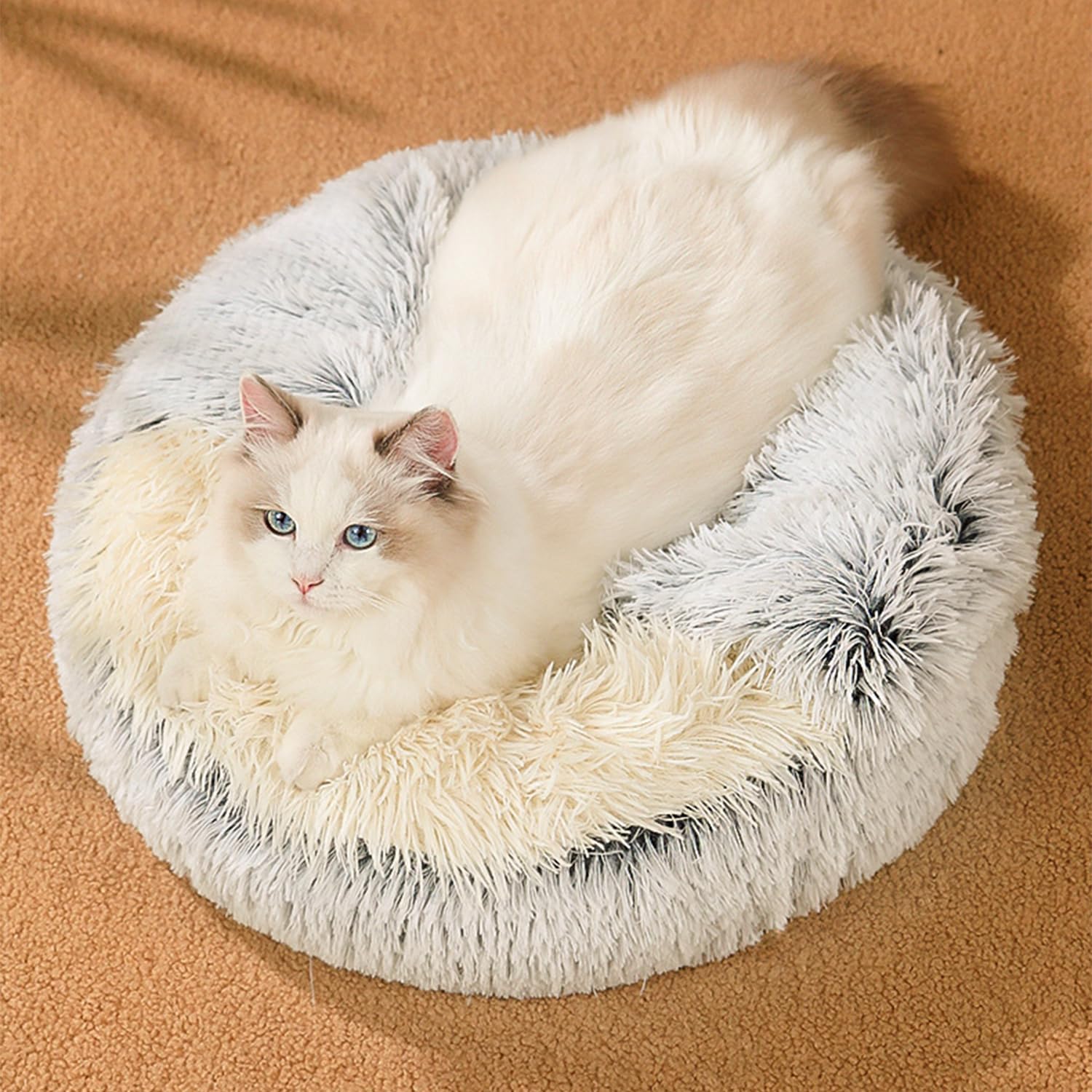 Cuccia per Animali Domestici Letto da Interno Lavabile Lettino soffice per Cani a Forma di Conchiglia Calmante Soffice Peluche Divano per Lettino Gatto Cesto per Gatto e Cane (Grigio, 50cm Ø)