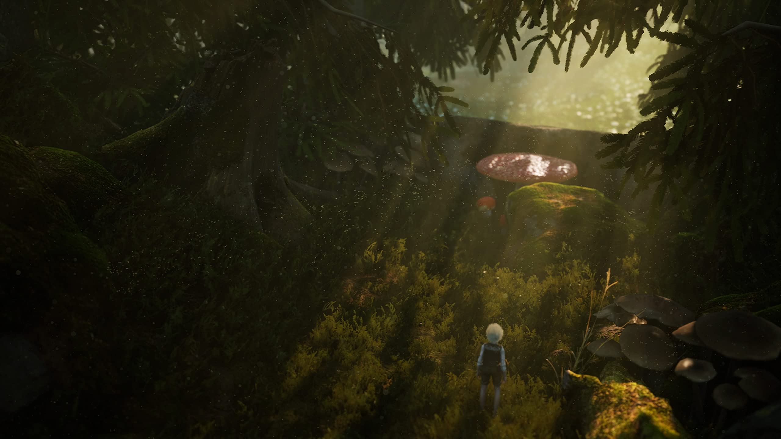 Amazon.co.jp: Bramble: The Mountain King(ブランブル: ザ 