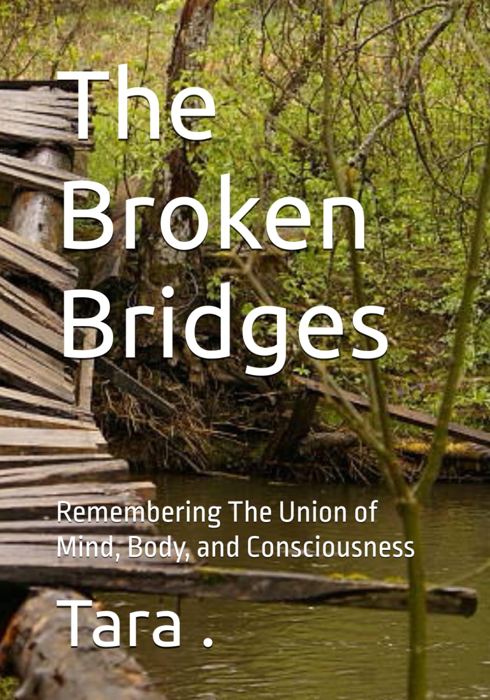 The Broken Bridges: Remembering The Union of Mind, Body, and Consciousness