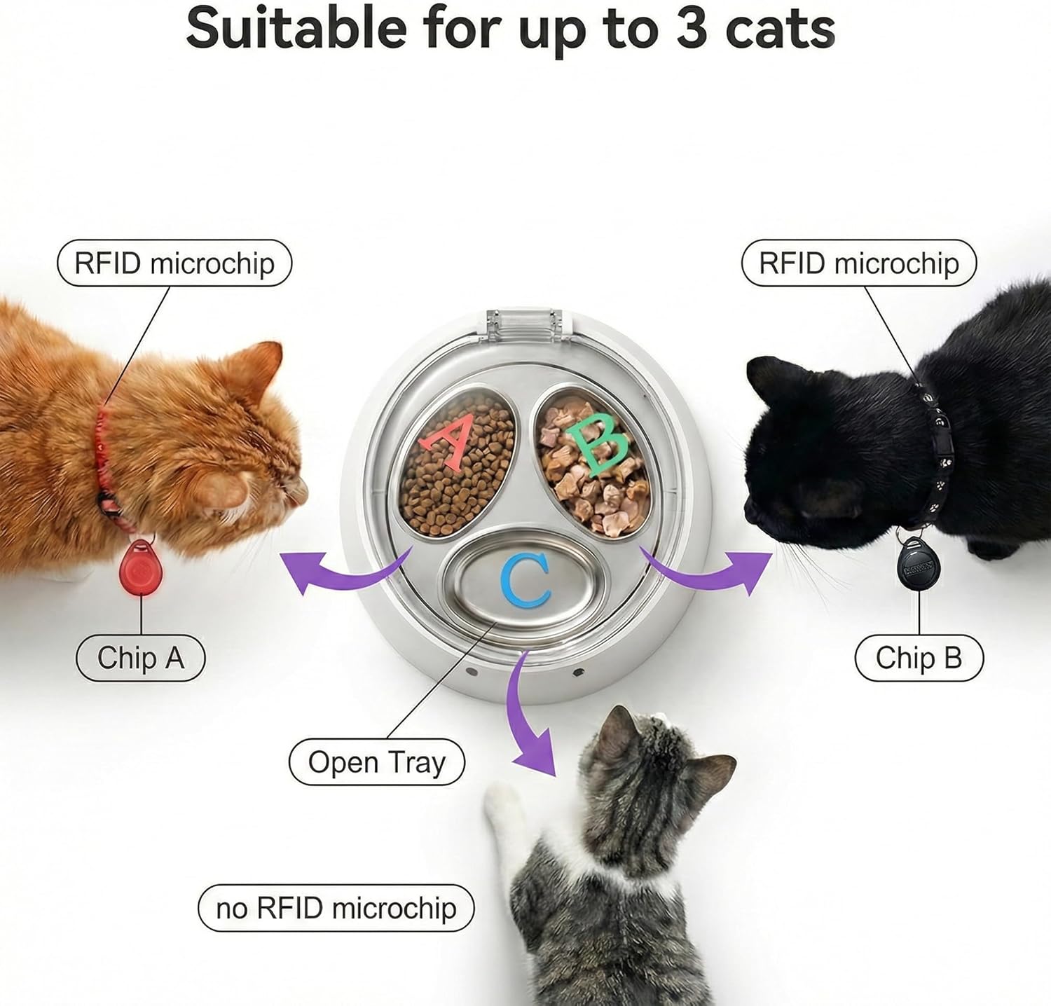 Anifam Microchip RFID Cat Feeder, Automatic Pet Feeder for Multi-Pet Homes, Dog Proof Cat Feeding Station with Stainless Steel Bowls for Small Dogs, Stops Food Stealing & Special Diets