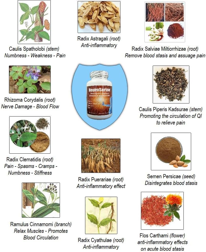 Miniatura 4 de NeuroSerine - Fórmula de apoyo y alivio nervioso con ingredientes naturales potentes únicos. Entumecimiento nervioso, dolores nerviosos, calambres,
