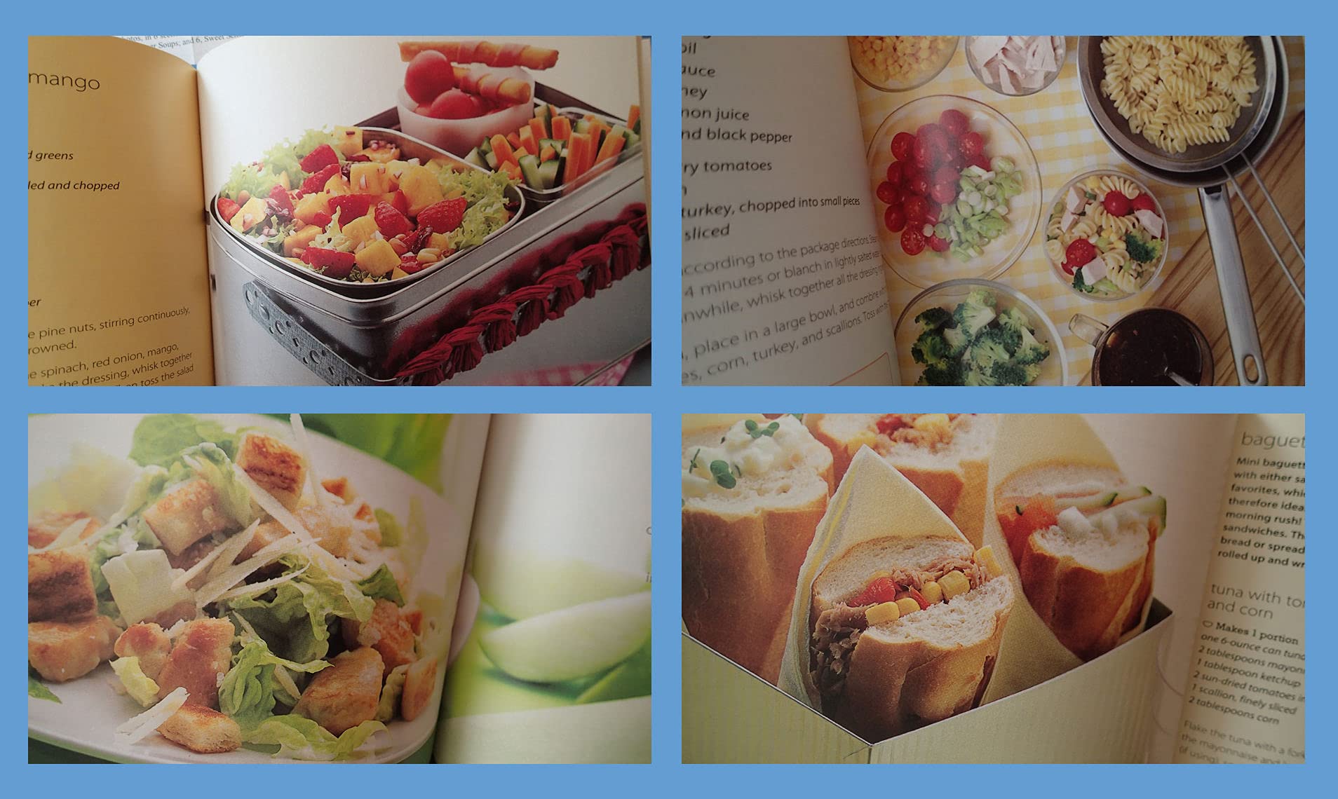Lunch Boxes and Snacks: Over 120 Recipes from Delicious Sandwiches and Salads to Hot Soups and Sweet Treats