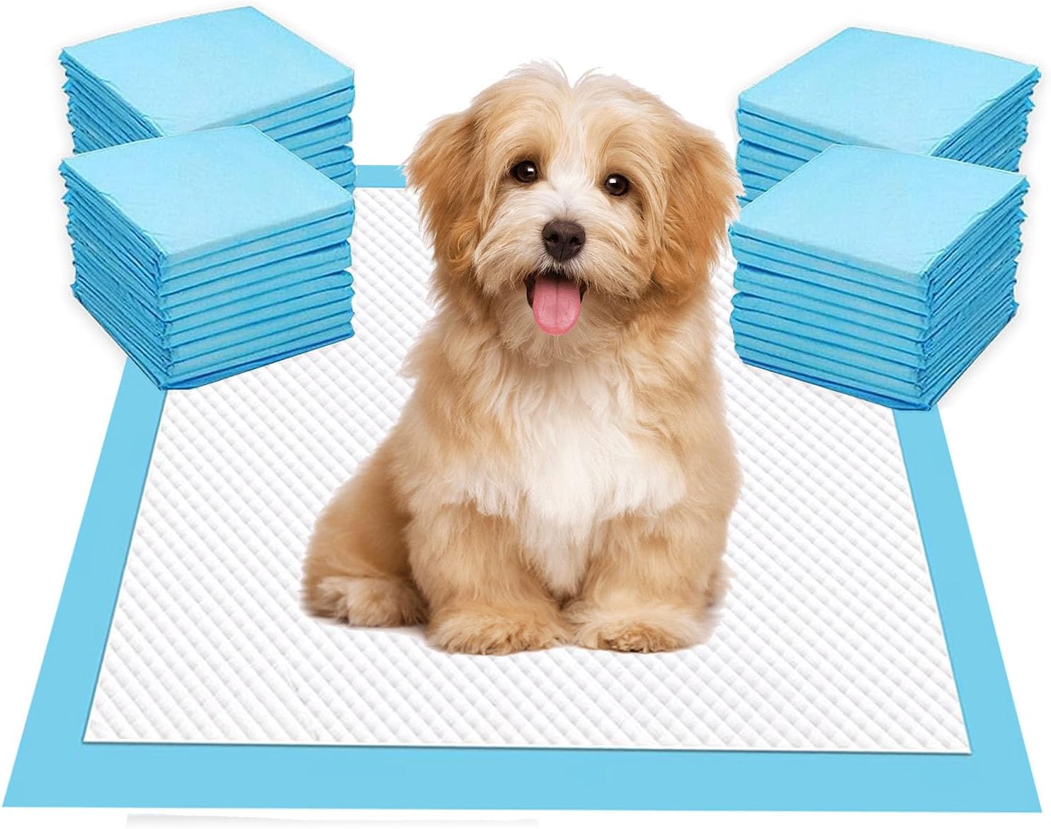 Tara Puppy Pads 50 Pack, Puppy Training Pads, Absorbent Pee Pads for