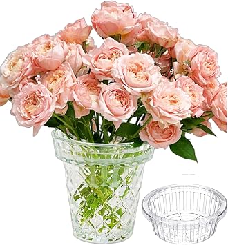 Thickened Glass Vase Embossed Big Base Large 6.1in Wide Mouth Rhombus Clear Vases Esmiome Bowl Bouquet Ribbed with a Hydroponic Baskets Vintage for Aquaponics Orchids Avocado Phalaenopsis Hyacinth