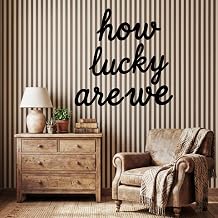 Pelopy How Lucky Are We Metal Wall Art Decor Black Minimalist Metal Sign Home Decor Letter Sign Blessed Letter Wall Art for Living Room Hallway Entryway Farmhouse Family Gifts
