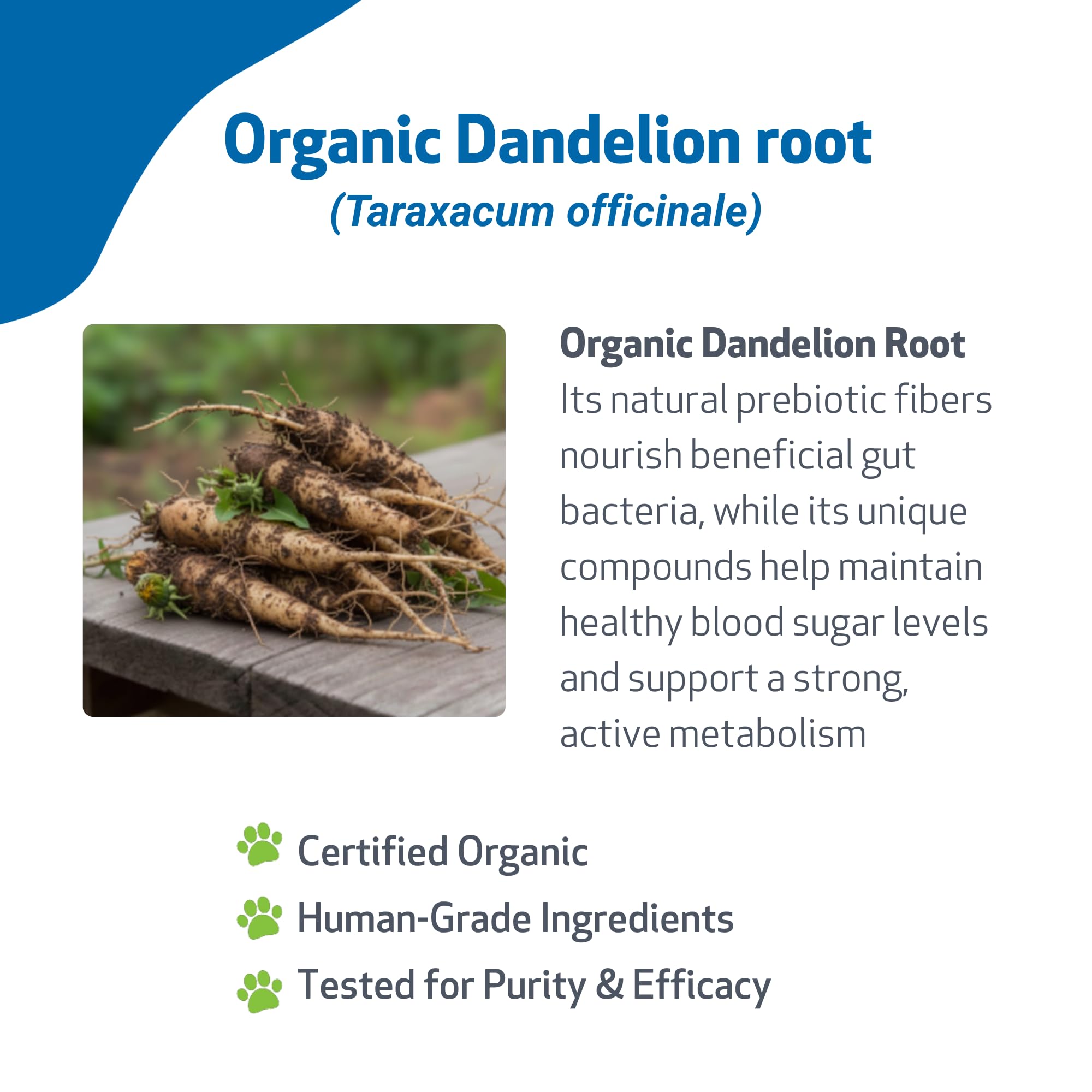 Pet Wellbeing Dandelion Root for Cats - Liver & Digestive Health, 2 oz — Amazon image 3