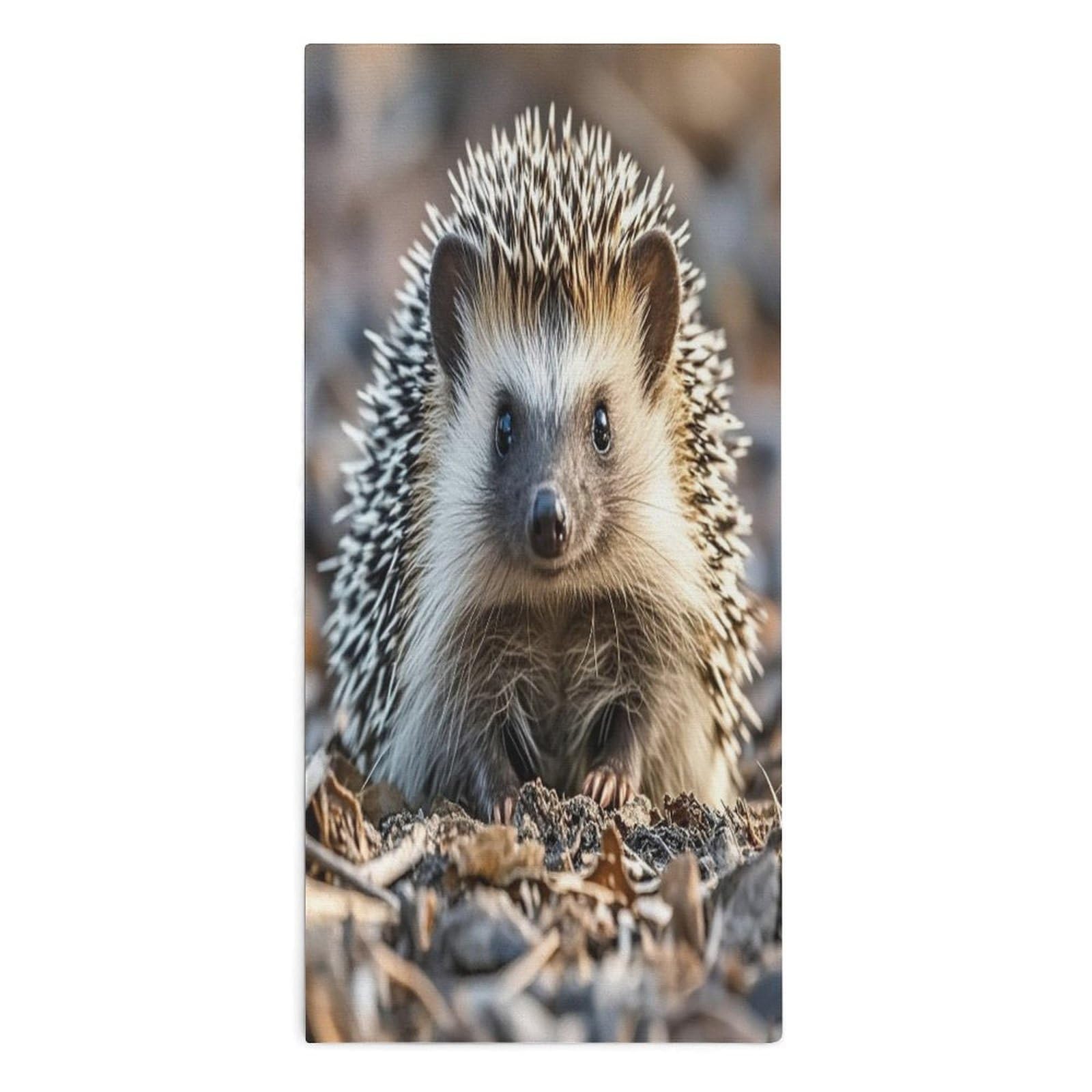 VstaDank Hedgehog Towel Quick Dry Absorbent Towels for Beach Thin Soft Lightweight Travel Bath Towel Sand Free Super Microfiber Face Towels for Sport Bath Adults