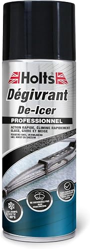 Holts Dégivrant Serrures avec Canule 30 ml