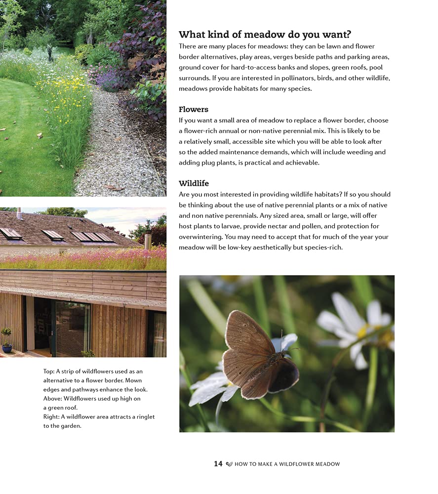 How to make a wildflower meadow: Tried-And-Tested Techniques for New Garden Landscapes