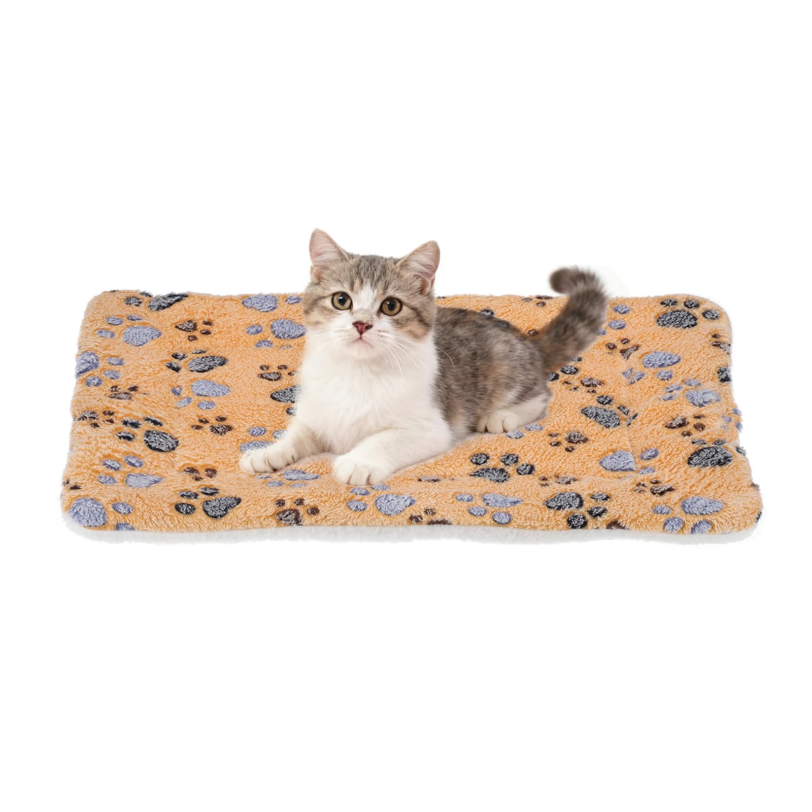 Tapis de lit chaud pour chien au salon avec joli motif patte