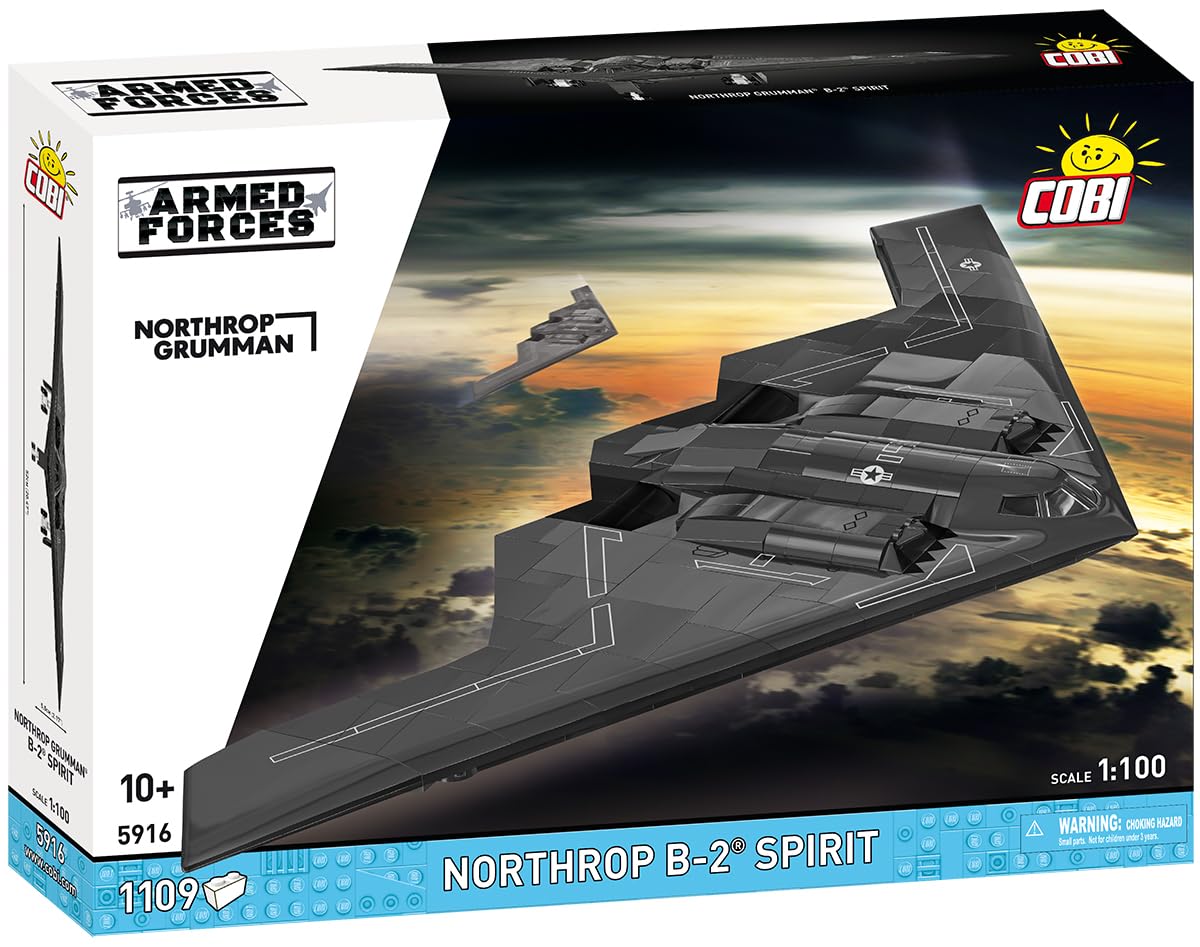 Northrop Grumman B-2 Spirit, Schwarz