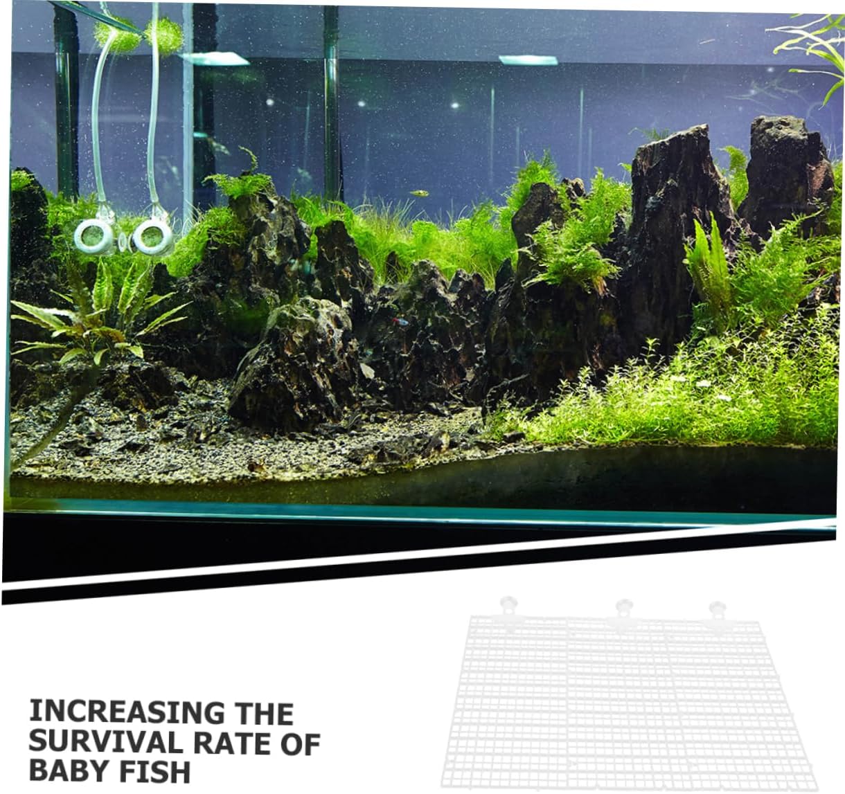 BESPORTBLE 1set Fish Tank Divider Plate Aquarium Separator Suction Cups Mesh for Fish Isolation and Species Separation Easy to Install