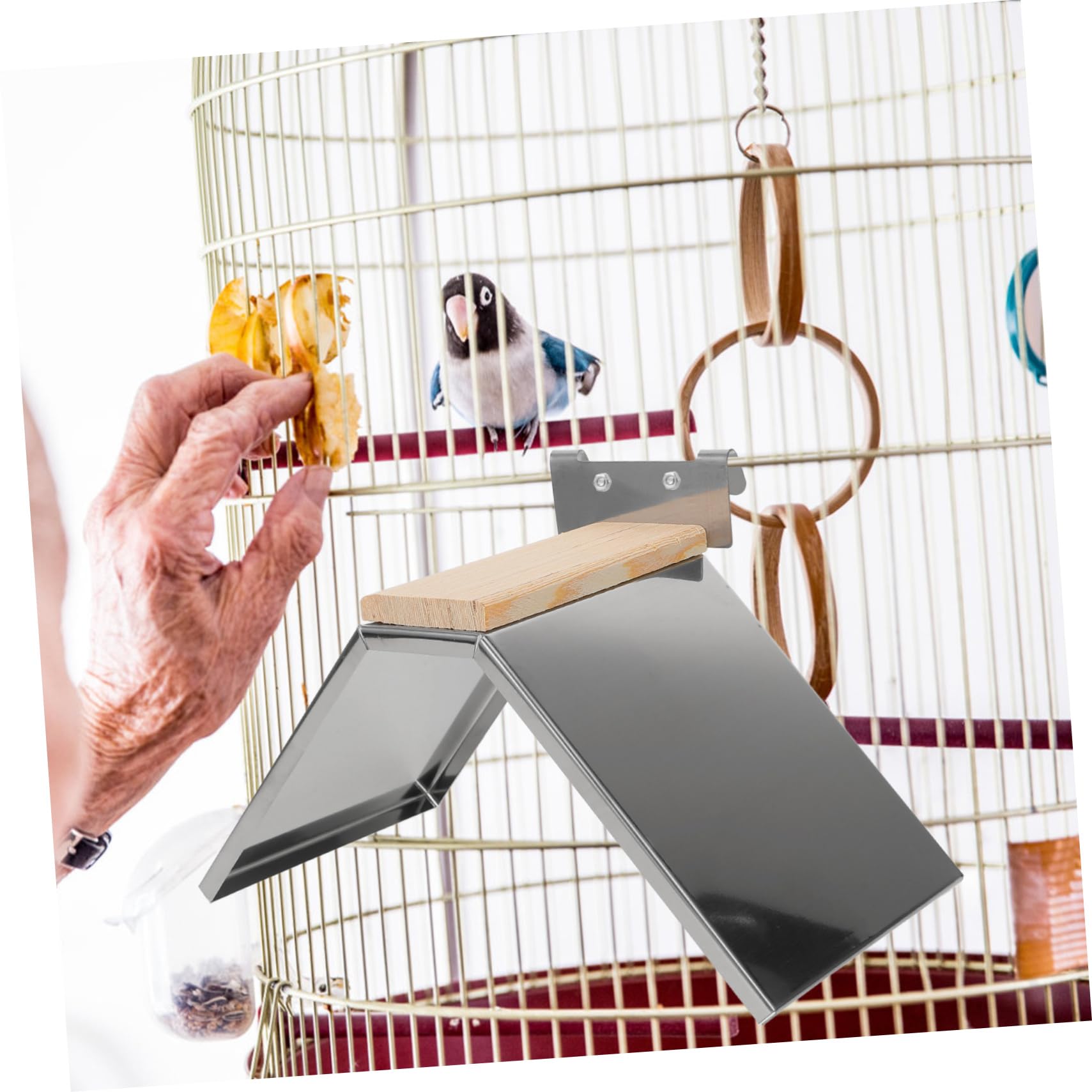 BESPORTBLE 6piezas Perchero De Inoxidable para Aves De Percha para Palomas y Aves De Corral Accesorio Multifuncional para Jaulas Mascotas