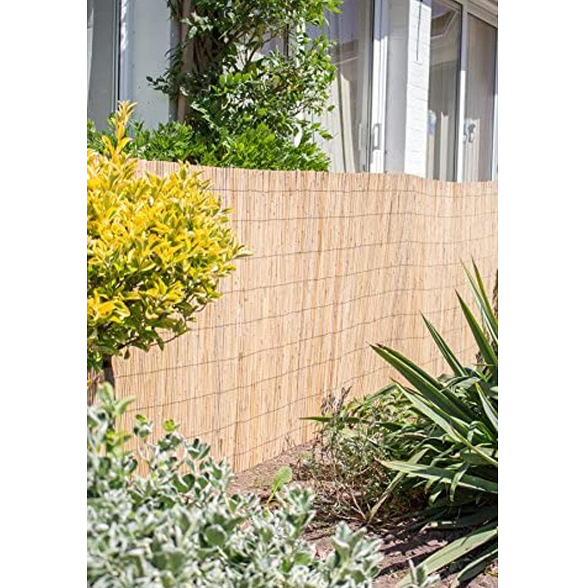 Lot de 2 canisse en bambou, clôture de jardin, couverture de protection contre le vent et le soleil - Longueur 500 x Profondeur 100 cm -JUANIO-