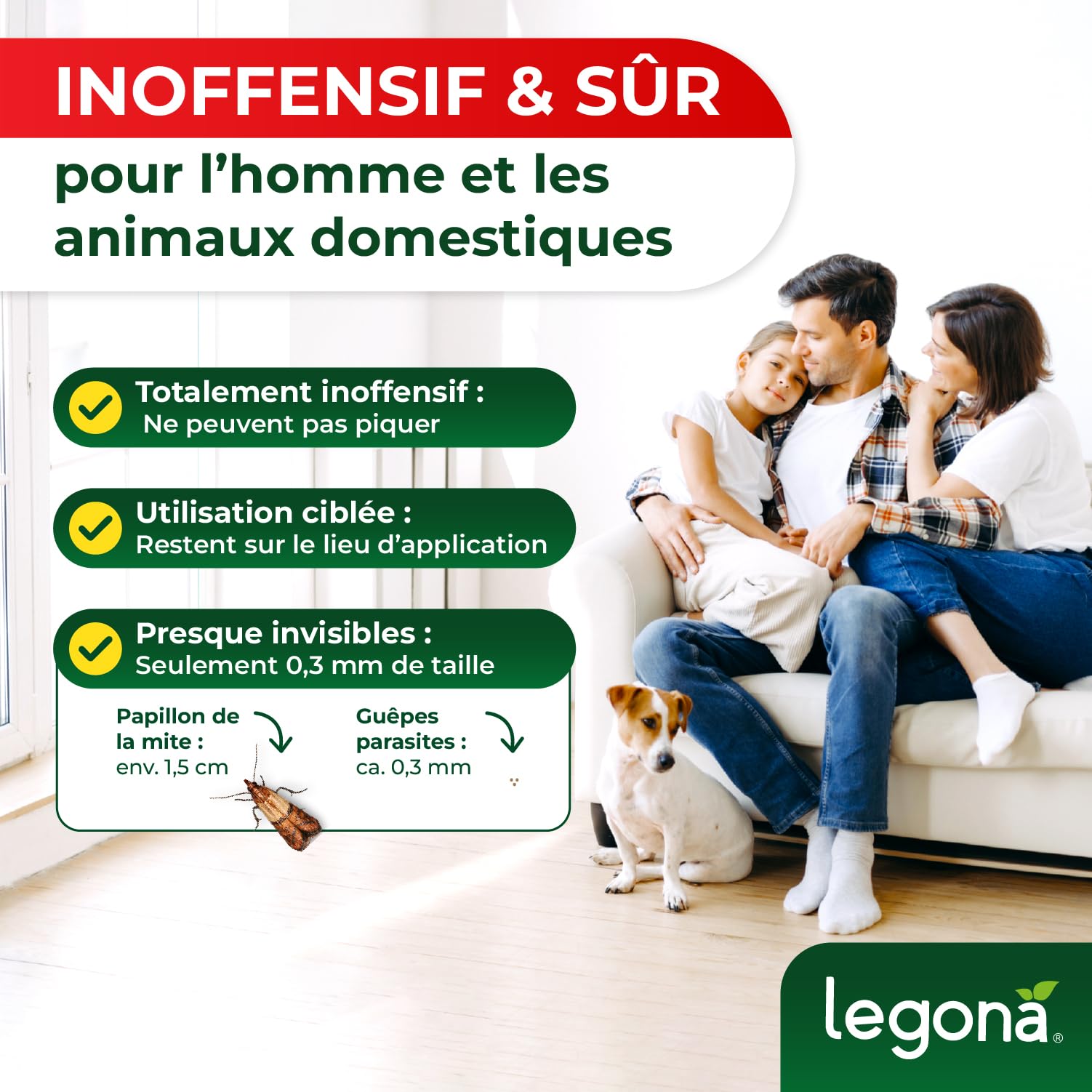 Legona Trichogrammes - 3 supports, 3 livraisons - Auxiliaires de lutte biologique contre les mites alimentaires pour cuisine et garde-manger