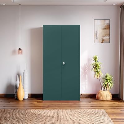 by Godrej Flynn NX 2-Door Steel Almirah
