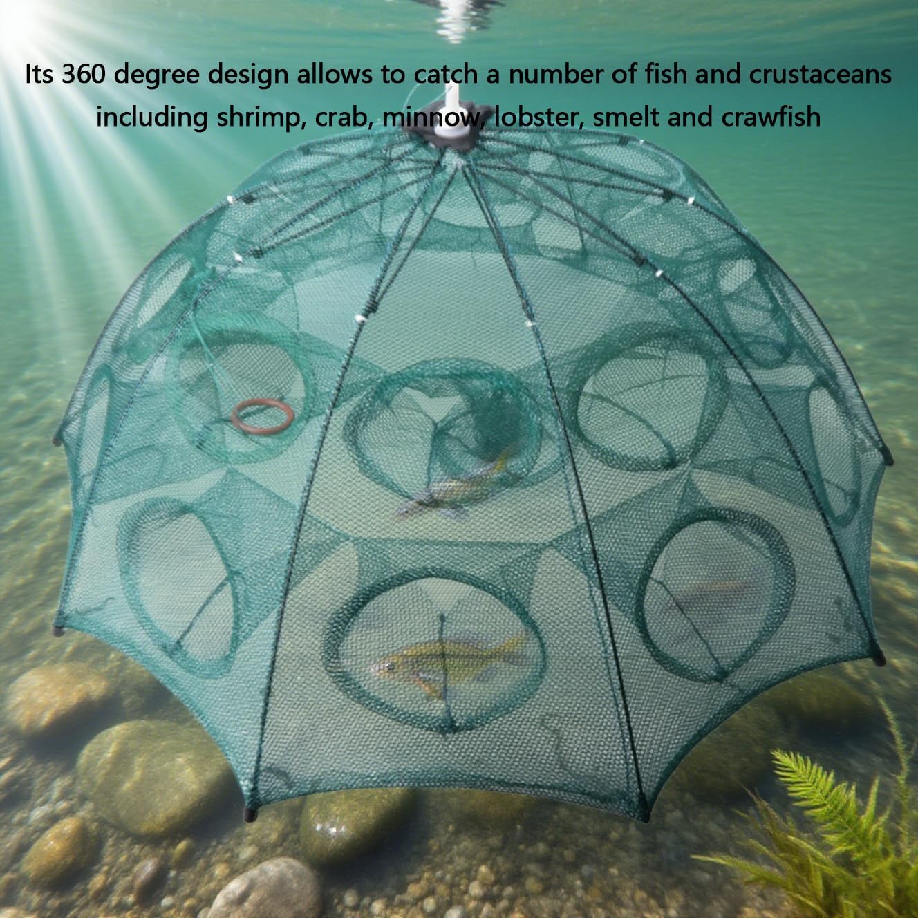 Foldable Fishing Bait Trap Cast Net Cage Cast Dip Cage image 5