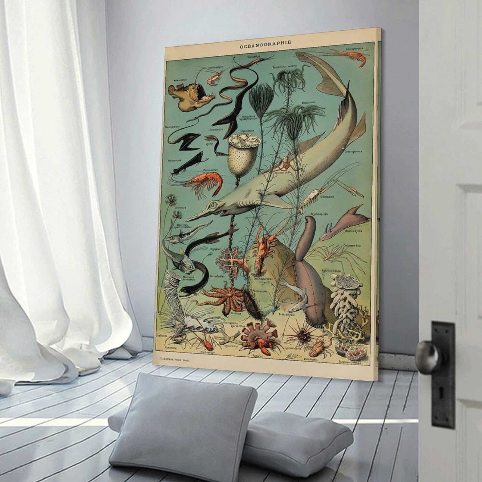 Junmoney Ocean Life Canvas Wall Decor, 08x12inch(20x30cm), for Gallery Wall Decor And Room Displays, Wall Decor Suited to Curated Displays