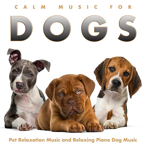 relaxing piano music for dogs